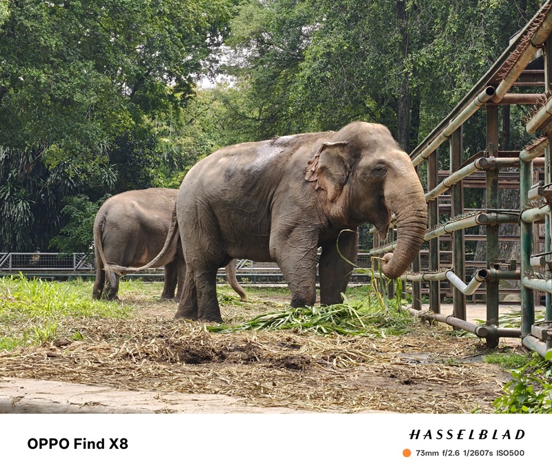 Dokumentasi Merah Putih Media